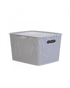 Plastic purposes box with a cover