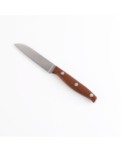 Stainless stainless steel knife wood hand