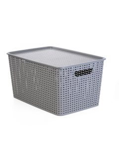 Plastic purposes box with a cover