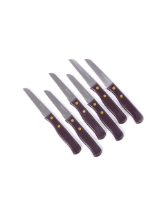 Fruit knife set of 6 pieces