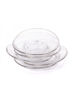 A set of 6 pieces of luxurious silver glass dishes