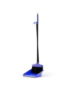 Broom with plastic dustpan